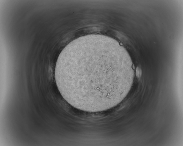 X0000083581203200703091651