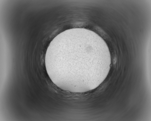 X0000083581204200703091651