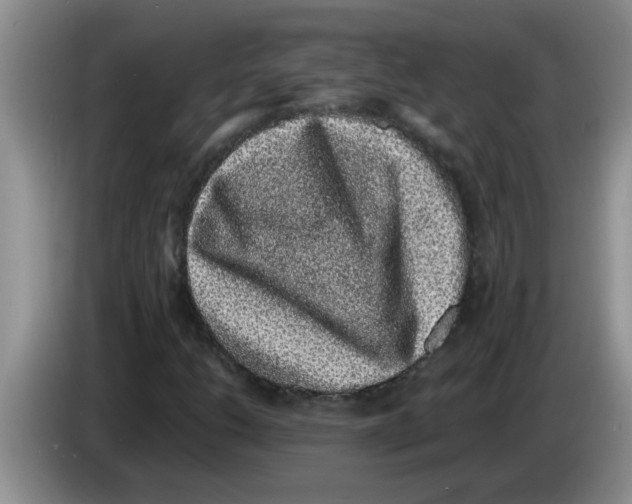 X0000083581206200703091651