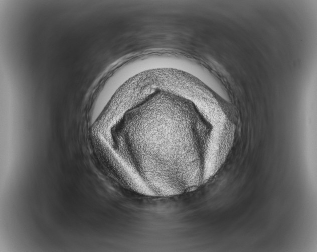 X0000083581208200703091651