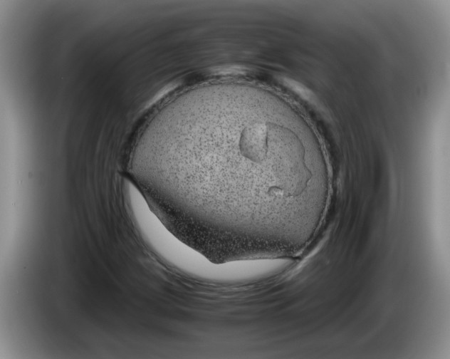X0000083581209200703091651