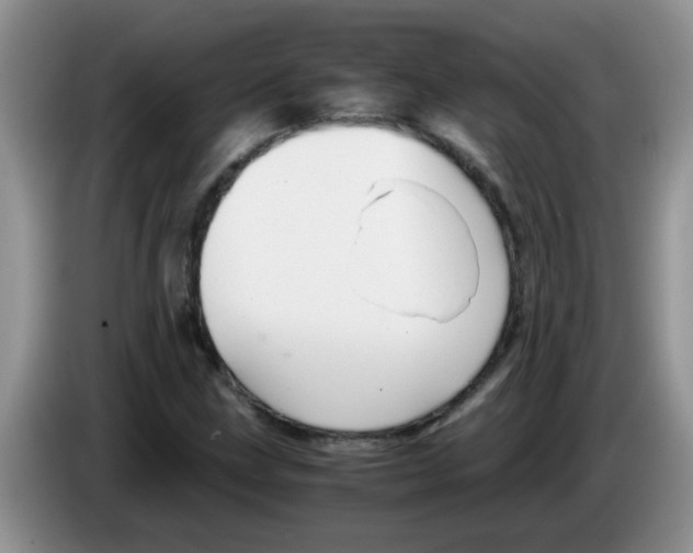 X0000083581211200703091651