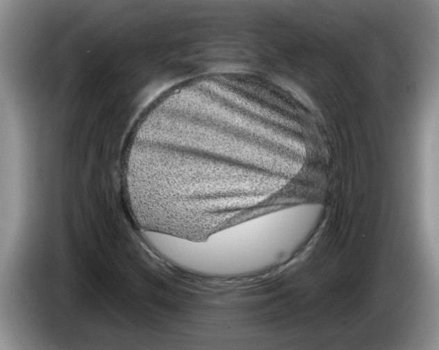 X0000083581212200703091651