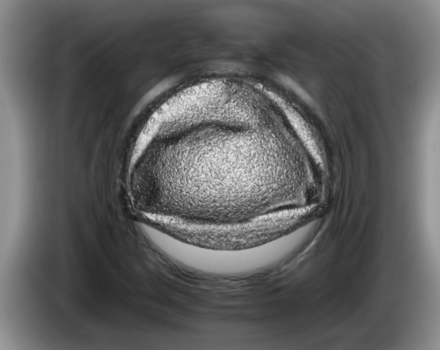 X0000083581213200703091651