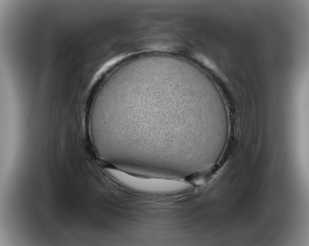 X0000083581214200703091651
