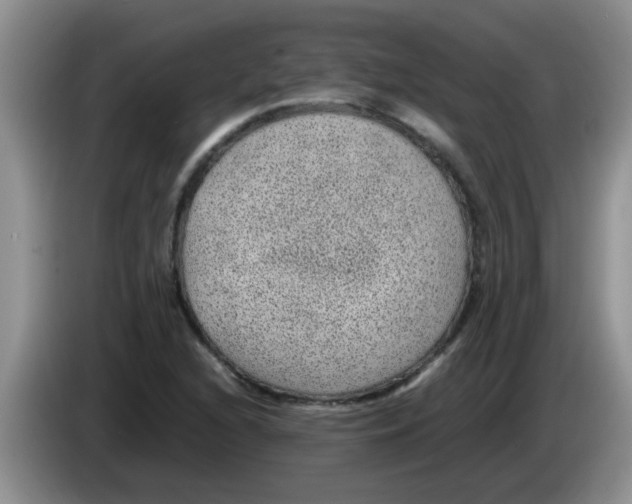 X0000083581216200703091651