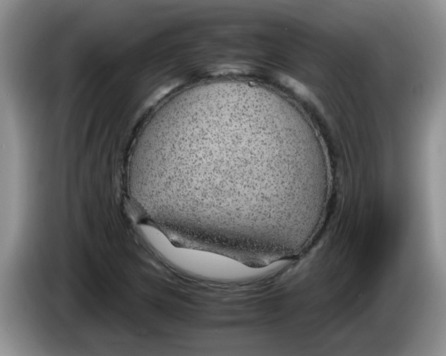 X0000083581217200703091651