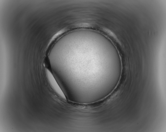 X0000083581218200703091651