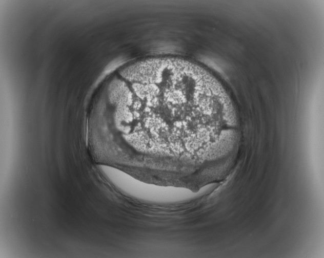 X0000083581219200703091651