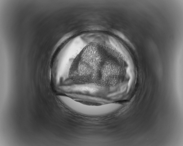 X0000083581221200703091651