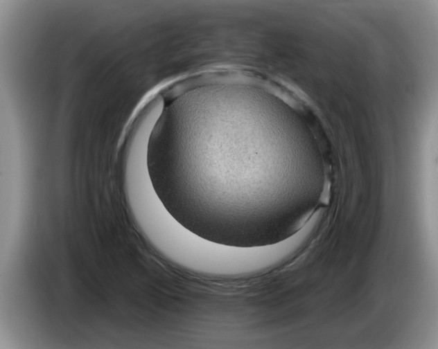 X0000083581222200703091651