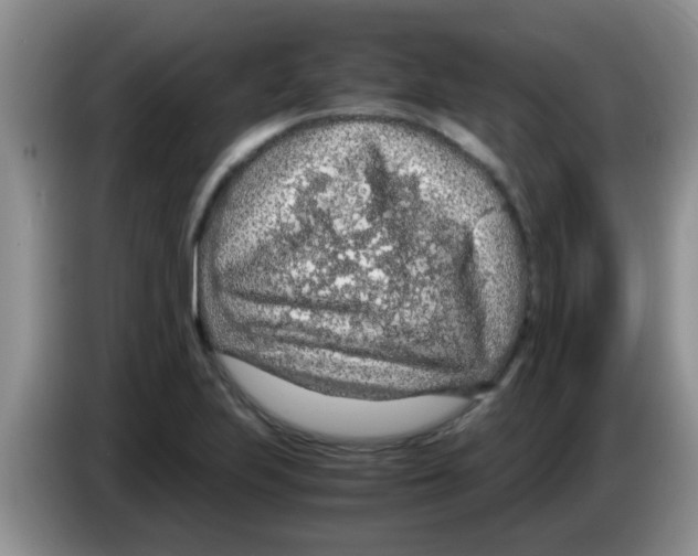 X0000083581223200703091651