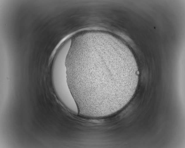 X0000083581224200703091651