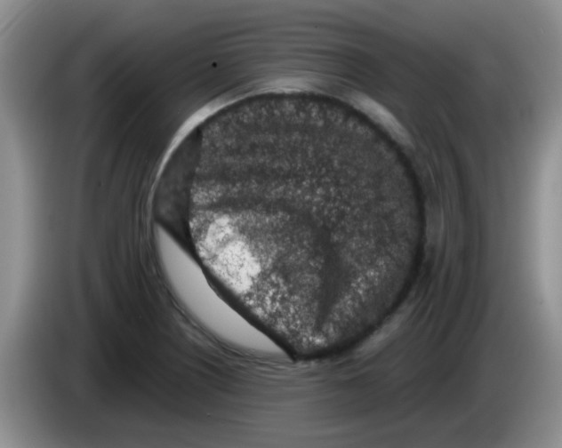 X0000083581226200703091651