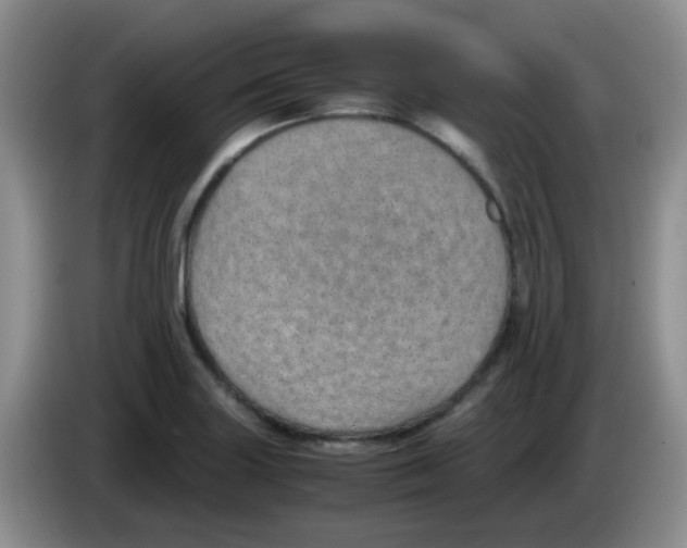 X0000083581227200703091651