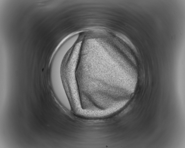 X0000083581228200703091651