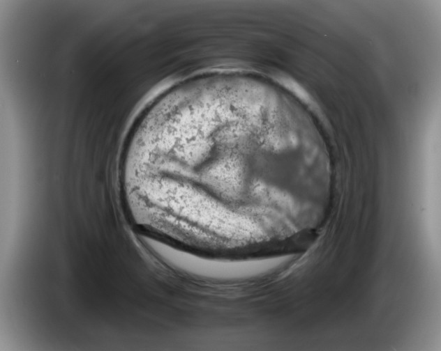 X0000083581229200703091651