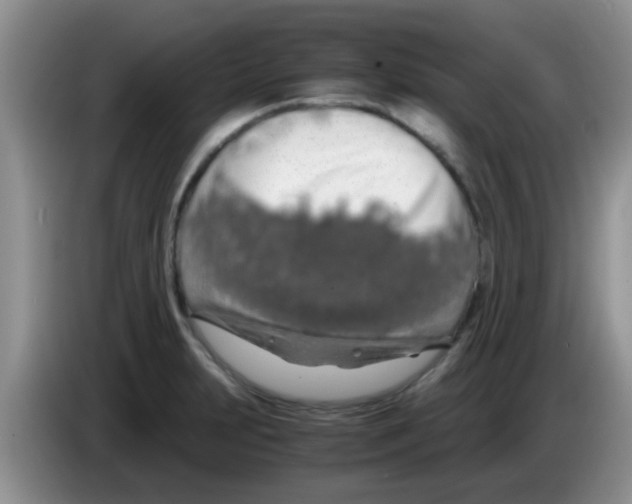 X0000083581231200703091651