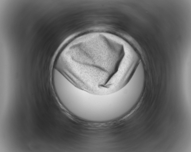 X0000083581232200703091651
