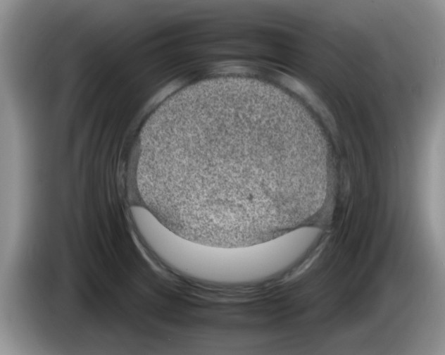 X0000083581233200703091652