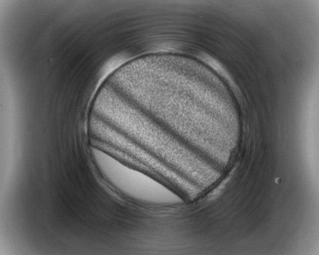 X0000083581234200703091652