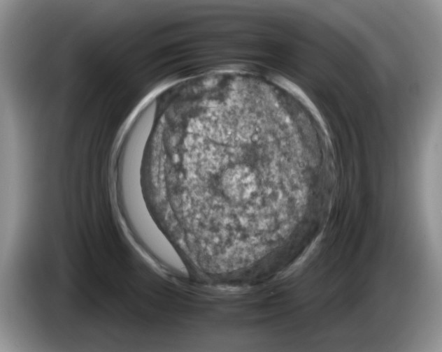 X0000083581235200703091652