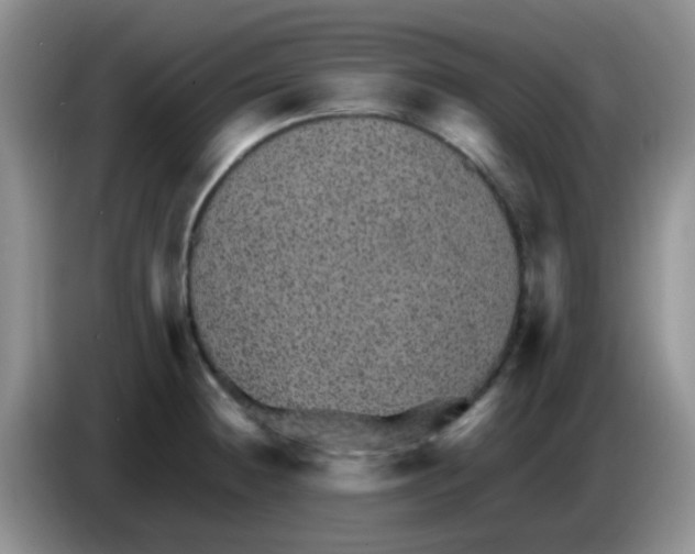 X0000083581236200703091652