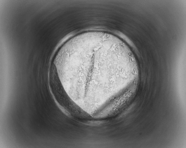 X0000083581237200703091652
