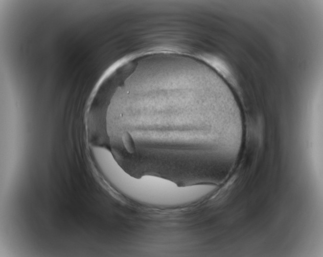 X0000083581238200703091652