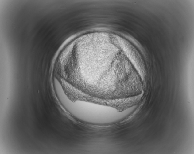 X0000083581240200703091652