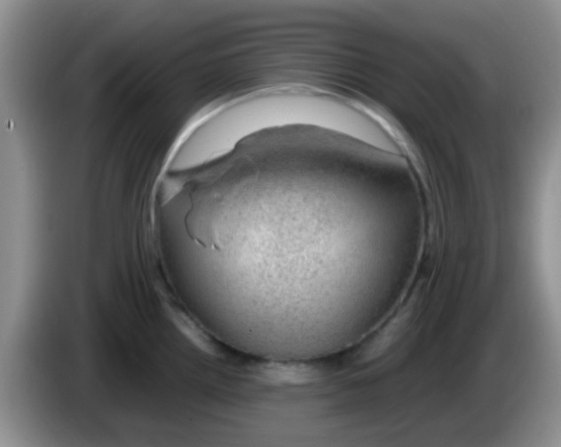X0000083581242200703091652
