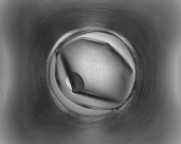 X0000083581246200703091652
