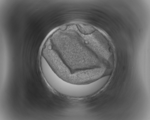 X0000083581248200703091652