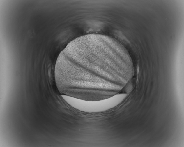 X0000083581250200703091651