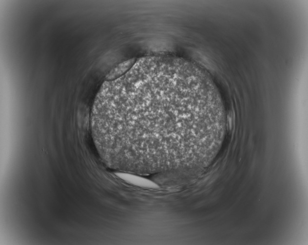 X0000083581251200703091651