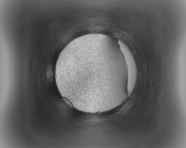 X0000083581252200703091651