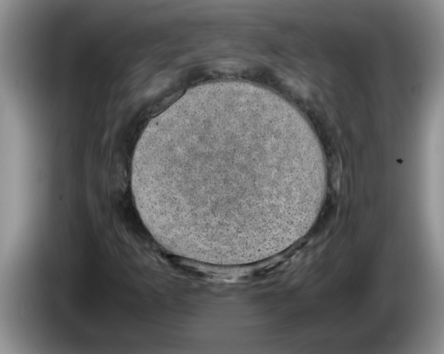X0000083581253200703091651