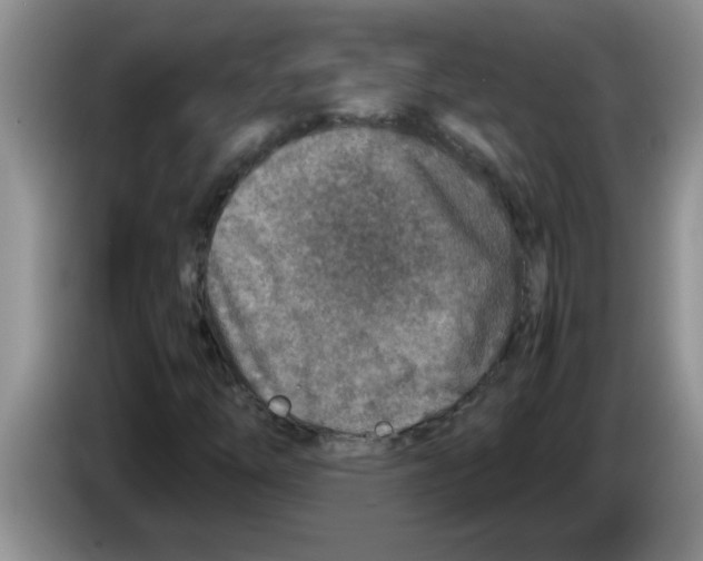 X0000083581254200703091651