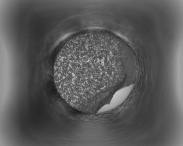X0000083581255200703091651