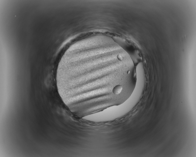 X0000083581256200703091651