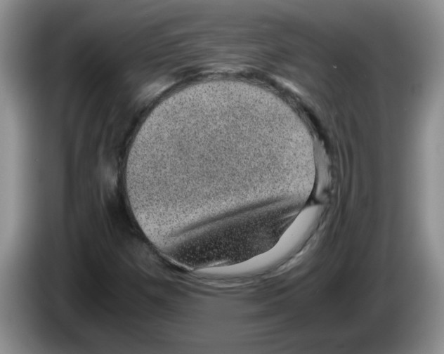 X0000083581257200703091651