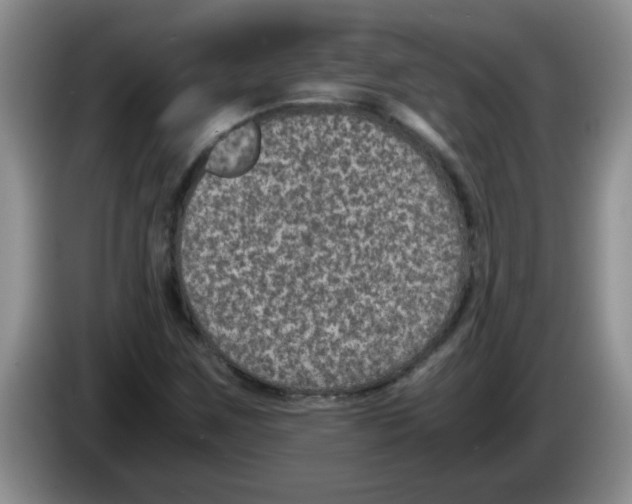 X0000083581259200703091651
