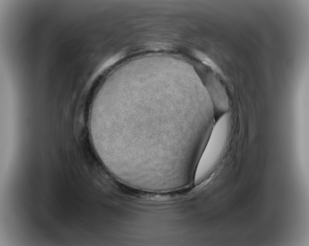 X0000083581261200703091651