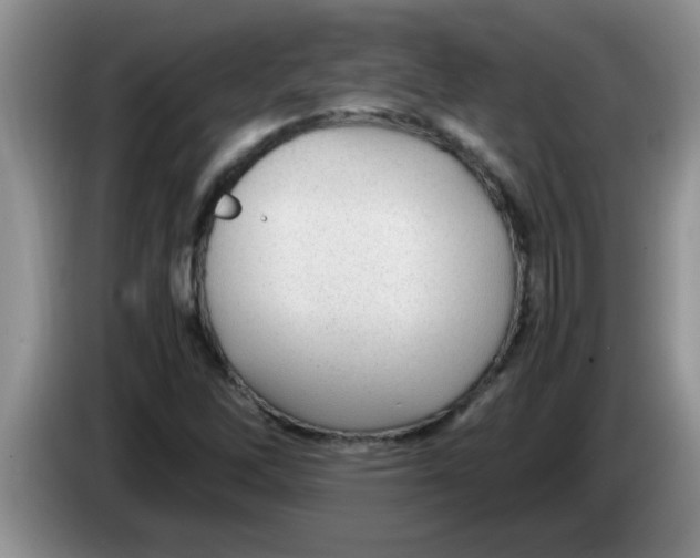 X0000083581262200703091651