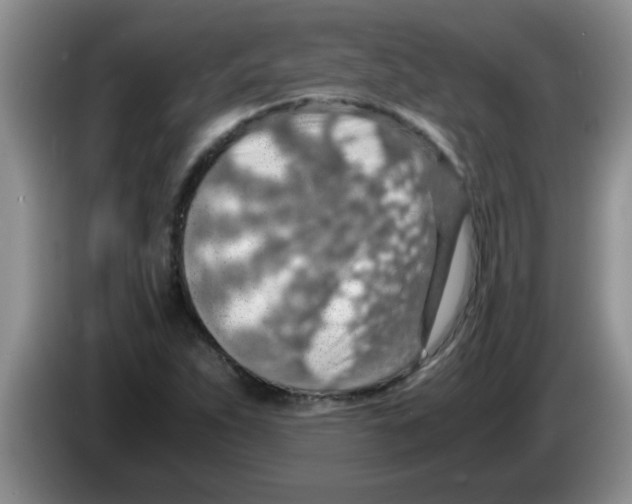X0000083581263200703091651