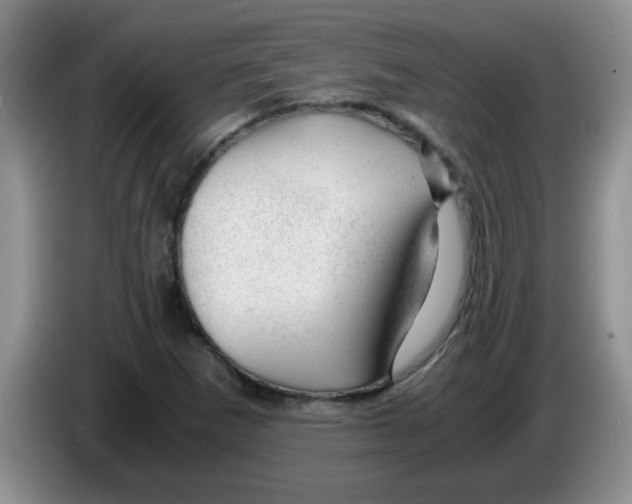 X0000083581265200703091651