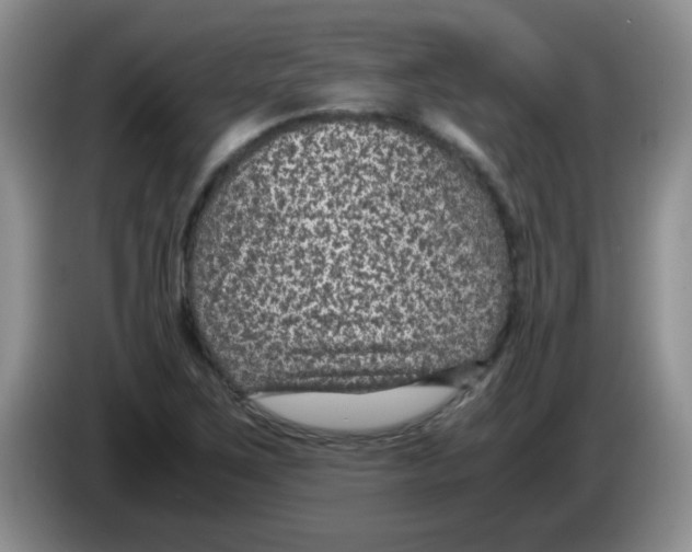 X0000083581267200703091651