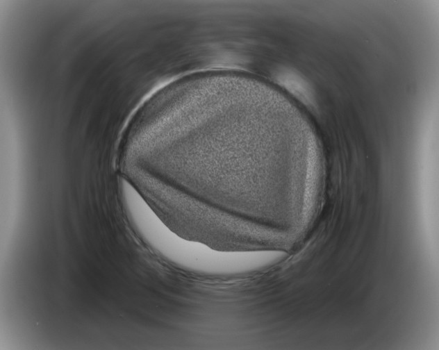 X0000083581268200703091651