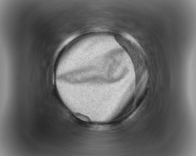 X0000083581269200703091651