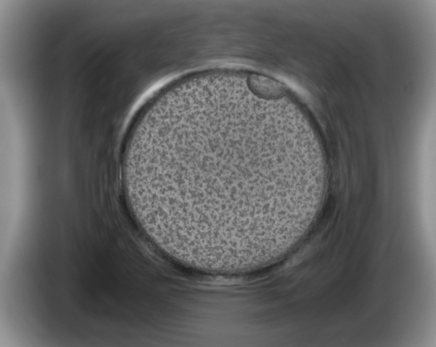 X0000083581271200703091651